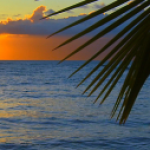 Profile picture of P. Parashar